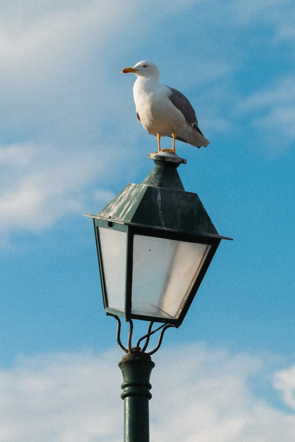 Selected Stills — IMG_2258.jpg — photography by Max Golov
