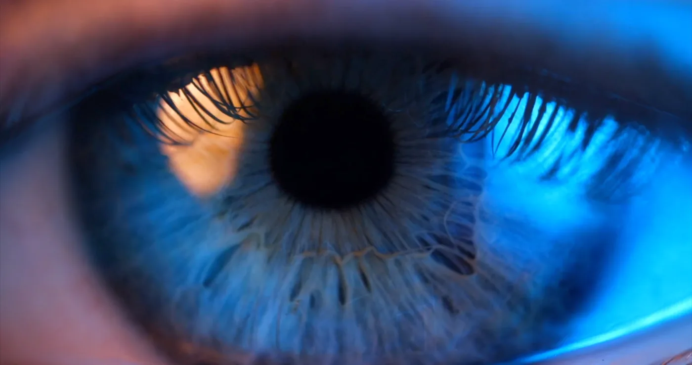 Filming Objects: Light, Texture and Controlled Movement