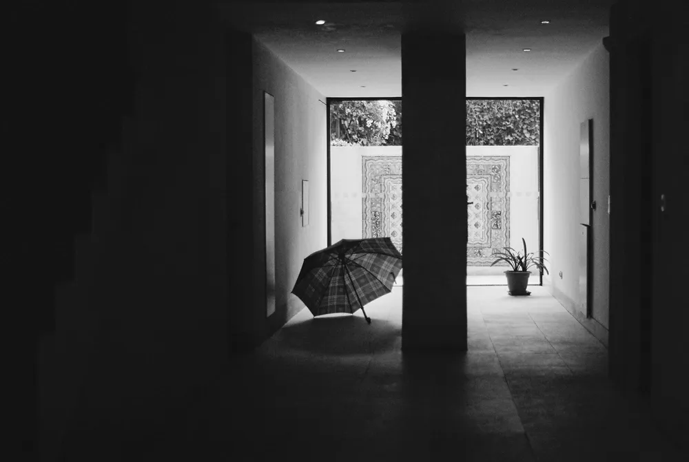 Selected Stills — maxgolov_ph-14.jpg — photography by Max Golov