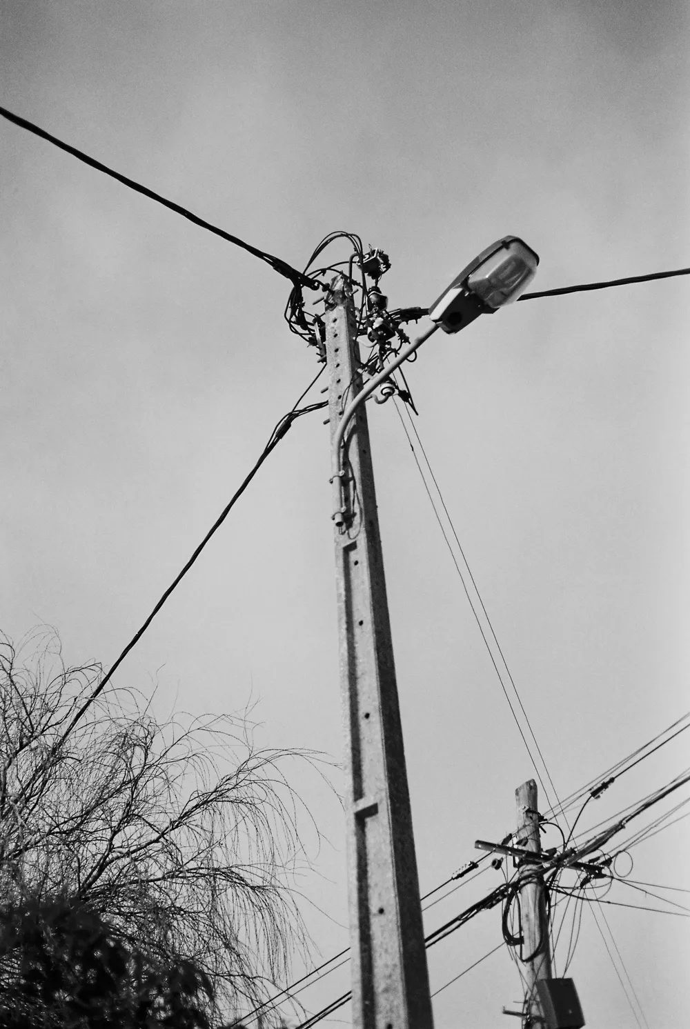 Selected Stills — maxgolov_ph-17.jpg — photography by Max Golov